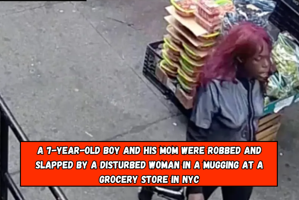 A 7-year-old boy and his mom were robbed and slapped by a disturbed woman in a mugging at a grocery store in NYC