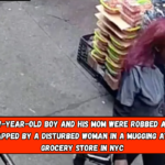 A 7-year-old boy and his mom were robbed and slapped by a disturbed woman in a mugging at a grocery store in NYC